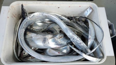 遊漁船　ニライカナイ 釣果