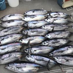 へいみつ丸 釣果