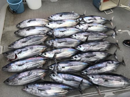 へいみつ丸 釣果