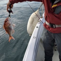 遊漁船 ニライカナイ 釣果