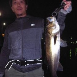 シーマジカル 釣果