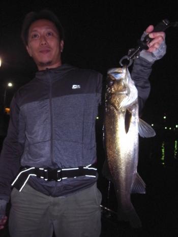 シーマジカル 釣果