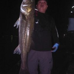 シーマジカル 釣果