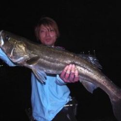 シーマジカル 釣果