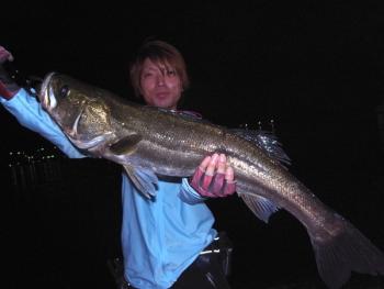 シーマジカル 釣果