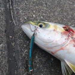 早朝短時間勝負！！