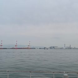 またまたメーター超え