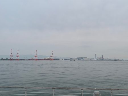 またまたメーター超え