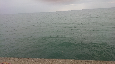 青物狙いのはずですが