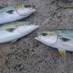 早朝短時間勝負！！！