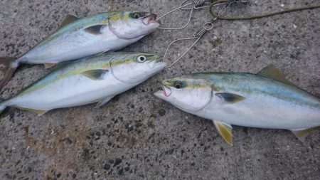 早朝短時間勝負！！！