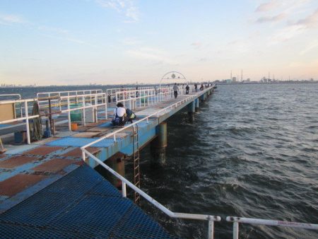 オリジナルメーカー海づり公園(市原市海づり…