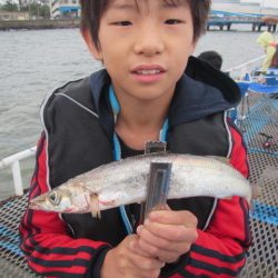 オリジナルメーカー海づり公園(市原市海づり施設) 釣果