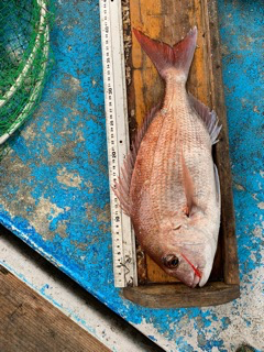 幸吉丸 釣果