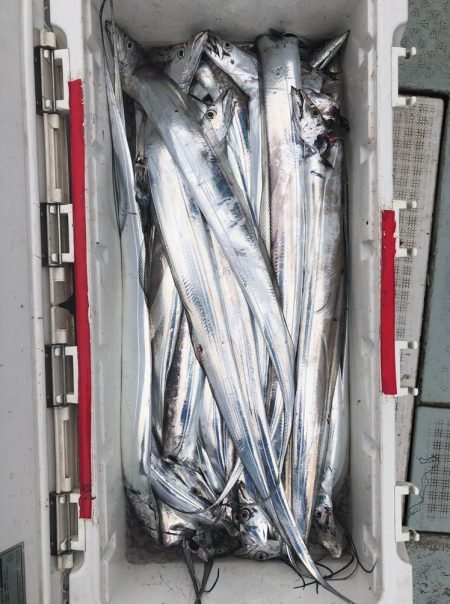 フィッシング キッタカ 釣果