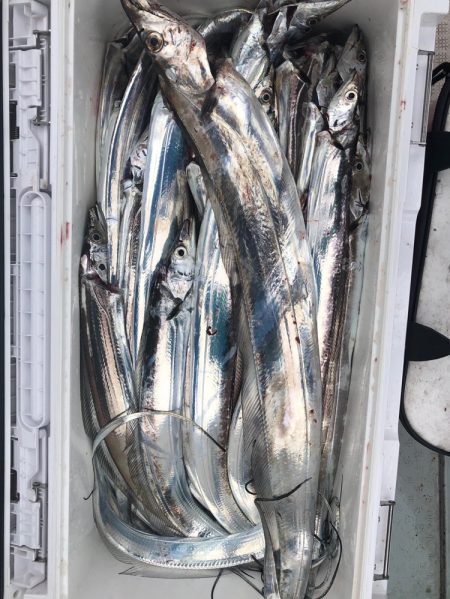 フィッシング キッタカ 釣果