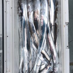 フィッシング キッタカ 釣果