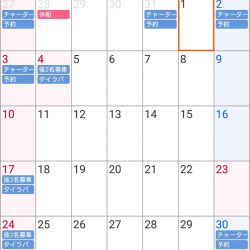 遊漁船 家入 釣果