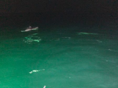 「LaGooN」蒼陽丸 日和号　 釣果