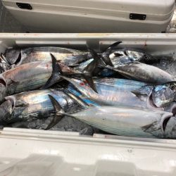 「LaGooN」蒼陽丸 日和号　 釣果