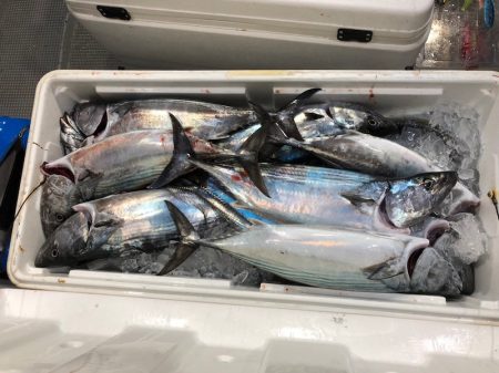 「LaGooN」蒼陽丸 日和号　 釣果