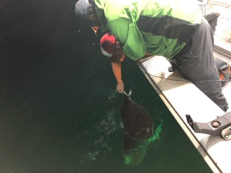 「LaGooN」蒼陽丸 日和号　 釣果