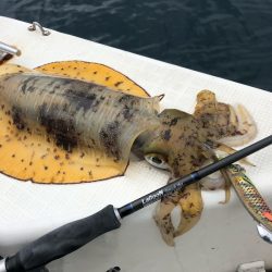「LaGooN」蒼陽丸 日和号 釣果