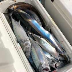 「LaGooN」蒼陽丸 日和号　 釣果