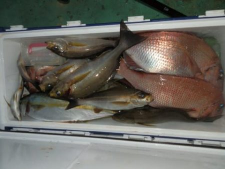 第二むつ漁丸 釣果