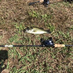 トライザのデザインのカッコよさにテンション上がる！【メガバス（Megabass）トライザ　インプレッション】