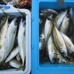 下関フィッシングパーク 釣果