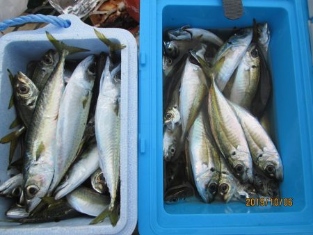 下関フィッシングパーク 釣果