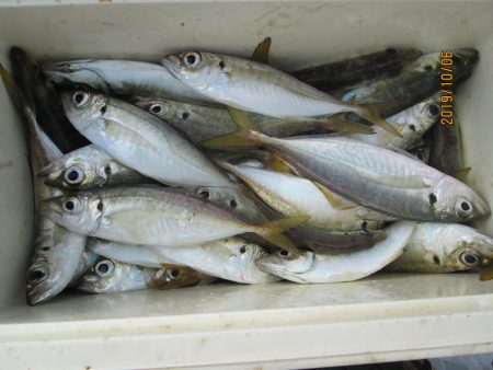 下関フィッシングパーク 釣果