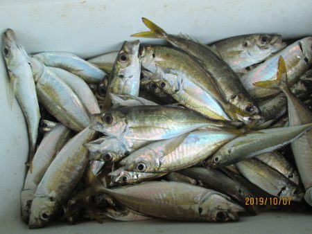 下関フィッシングパーク 釣果