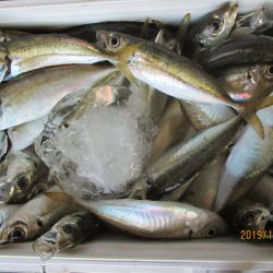 下関フィッシングパーク 釣果