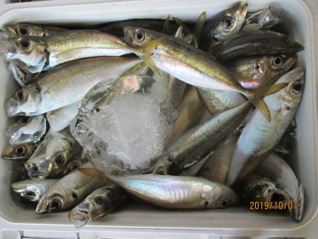 下関フィッシングパーク 釣果