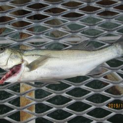 下関フィッシングパーク 釣果