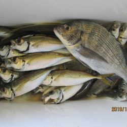 下関フィッシングパーク 釣果