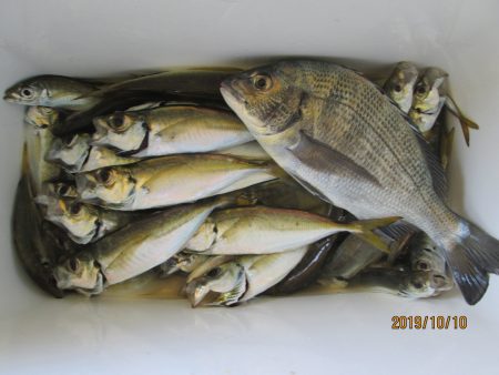 下関フィッシングパーク 釣果