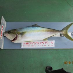 下関フィッシングパーク 釣果