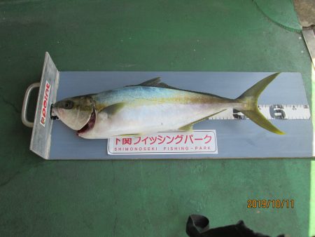下関フィッシングパーク 釣果