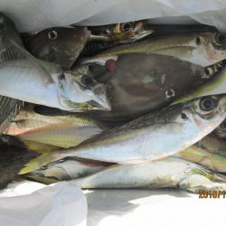 下関フィッシングパーク 釣果