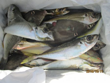 下関フィッシングパーク 釣果