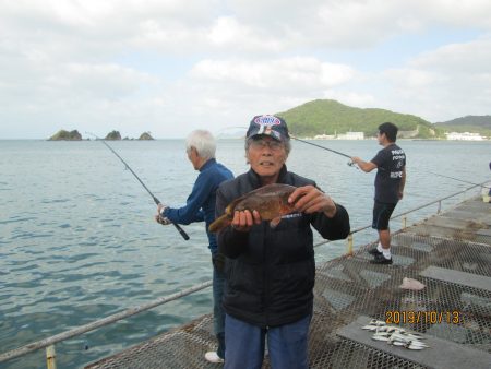 下関フィッシングパーク 釣果