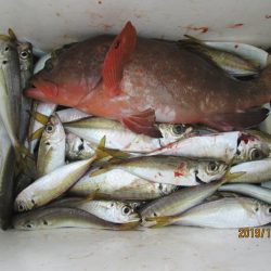 下関フィッシングパーク 釣果