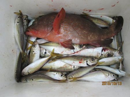 下関フィッシングパーク 釣果