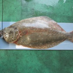 下関フィッシングパーク 釣果