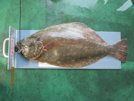 下関フィッシングパーク 釣果