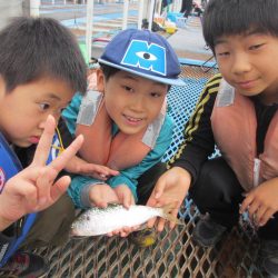 オリジナルメーカー海づり公園(市原市海づり施設) 釣果