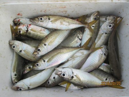 下関フィッシングパーク 釣果